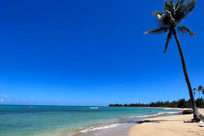 Rainforest Waterfall Slides/Adult Drinks included/ Beach - Rainforest Waterfall Slides, Adult Drinks Included, and Beach: An Authentic Puerto Rican Adventure
