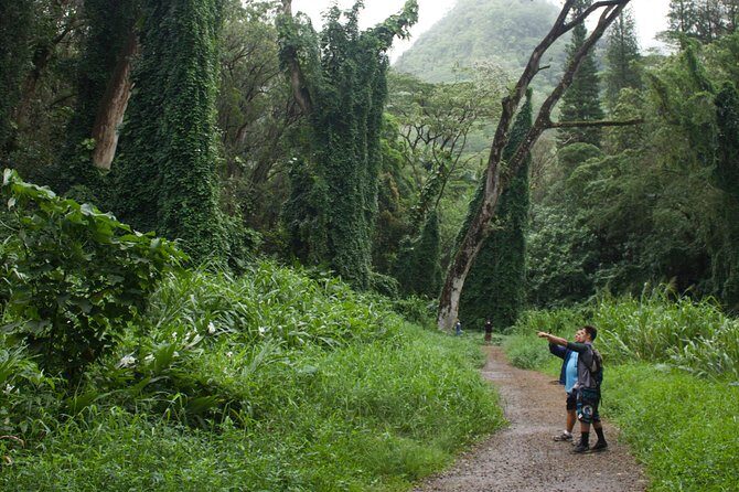 Rainforest Waterfall Trail and Shuttle Service - FAQ