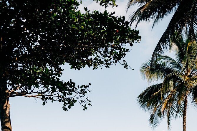 Rainforest Waterslide and Riverpool Beach Tour in Puerto Rico - Key Points