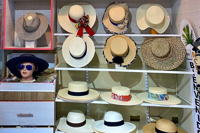 Rainforest Wildlife, Panama Hat makers, Traditional Cuisine. SHORE TOUR - Final Thoughts