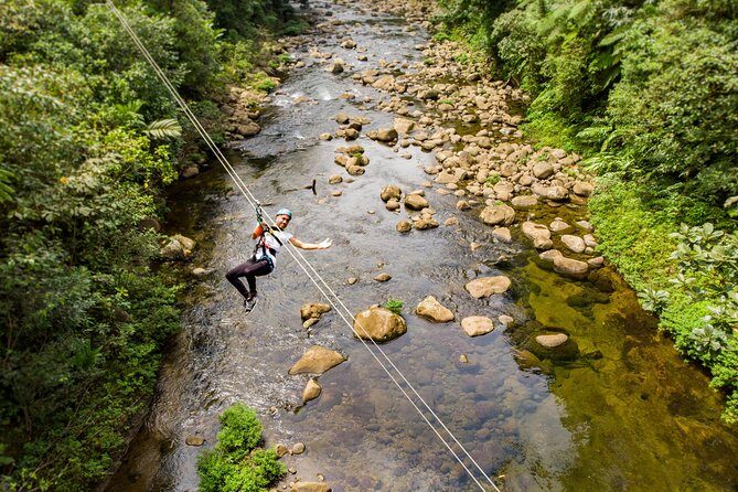 Rainforest Zip-Line Adventure  Braulio Carrillo, Costa Rica - Key Points