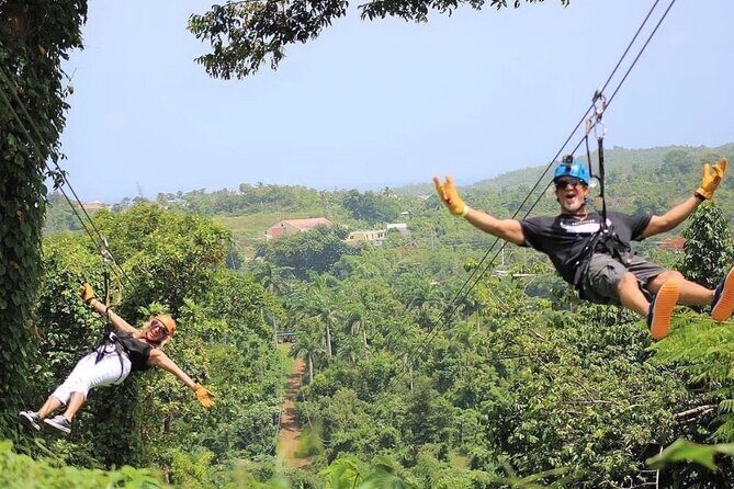 Rainforest Zipline in Foothills of the National Rainforest - A Detailed Look at the Zipline Experience
