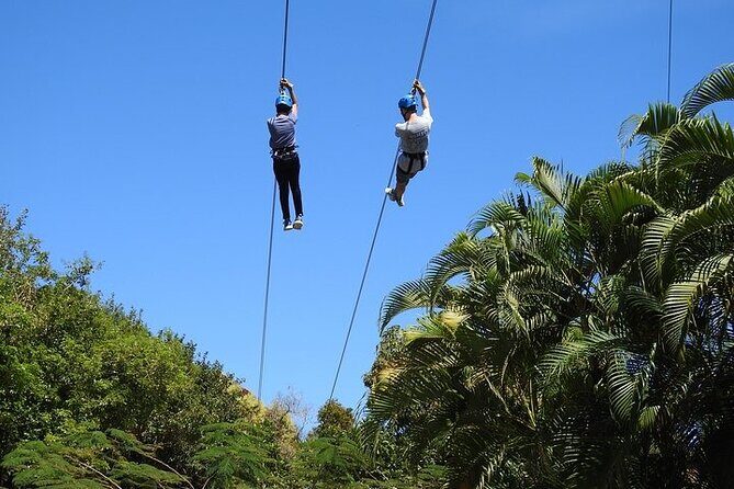 Rainforest Zipline in Foothills of the National Rainforest - Final Thoughts