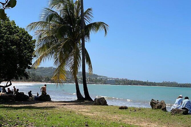 Rainforest Zipline, Luquillo Beach, and Natural Springs Day Trip - Who Should Book This Tour?