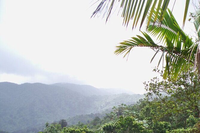 Rainforest Zipline, Luquillo Beach, and Natural Springs Day Trip - Frequently Asked Questions