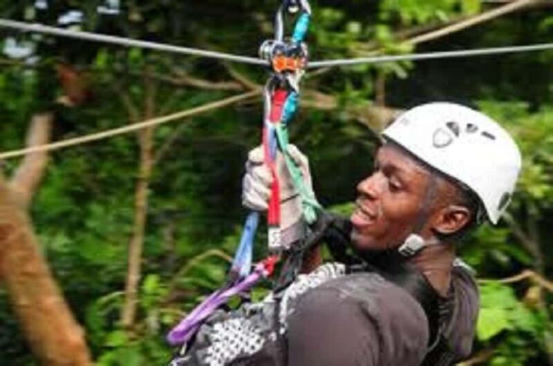 Rainforest Zipline Mystic Mountain trip - Why Choose This Tour?