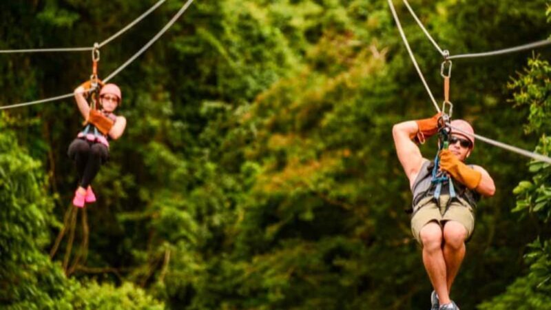 Rainforest Ziplining Adventure - Final Thoughts