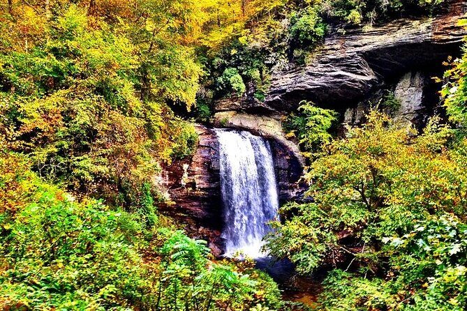 Rainforests and Waterfalls of Western NC - Starting Point and First Impressions: Asheville Visitor Center