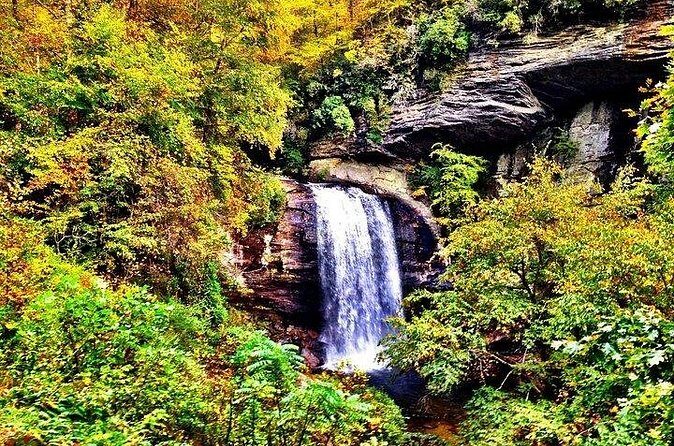 Rainforests and Waterfalls of Western NC - Iconic Stops and Photo Opportunities