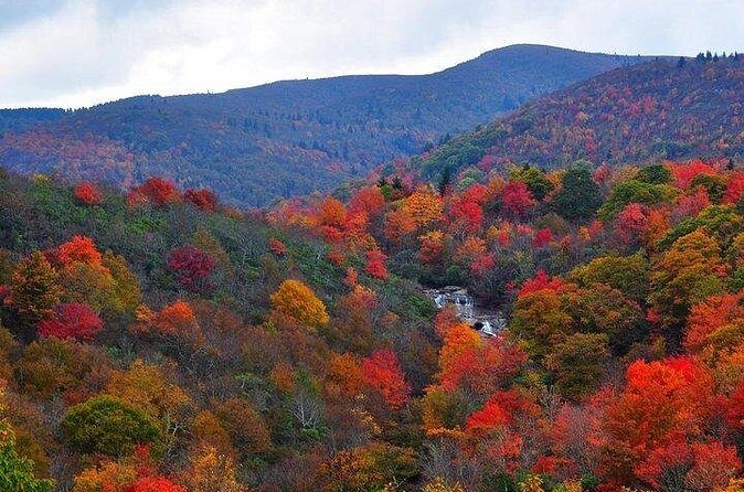 Rainforests and Waterfalls of Western NC - Who Would Love This Tour?