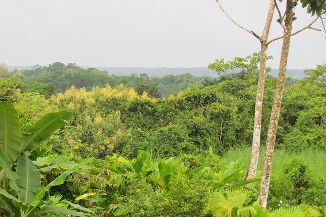 Rainmaker Hike and Hanging Bridges - An In-Depth Look at the Rainmaker Hike and Hanging Bridges