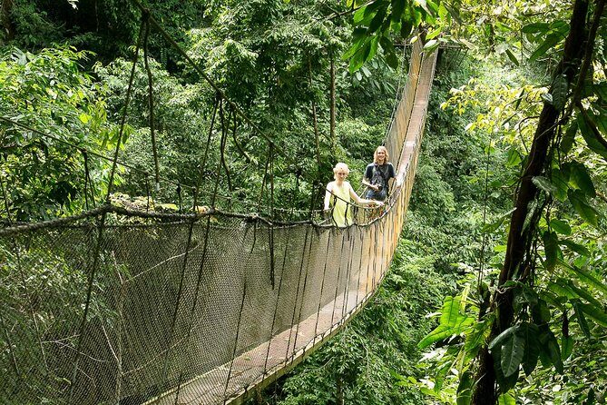 Rainmaker Park Hanging Bridges & Waterfalls Tour with Jade Tours - An In-Depth Look at the Rainmaker Experience