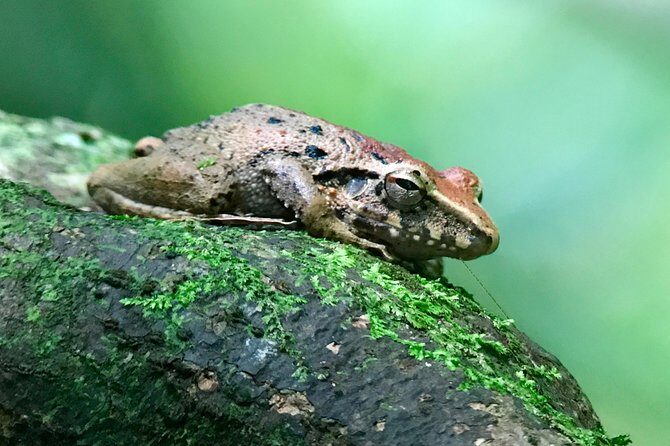 rainmaker tour - FAQ: Your Questions Answered