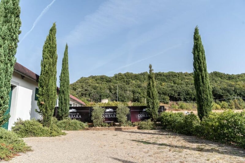 Raise a Glass: Exclusive Wine Experiences Near Orvieto - The Itinerary in Detail