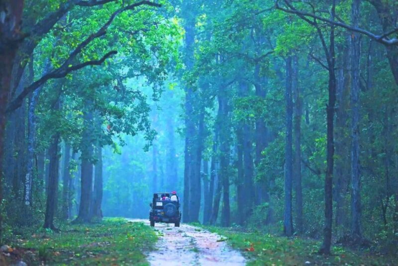 Rajasthan: Ranthambore National Park Private Jeep Safari - Key Points