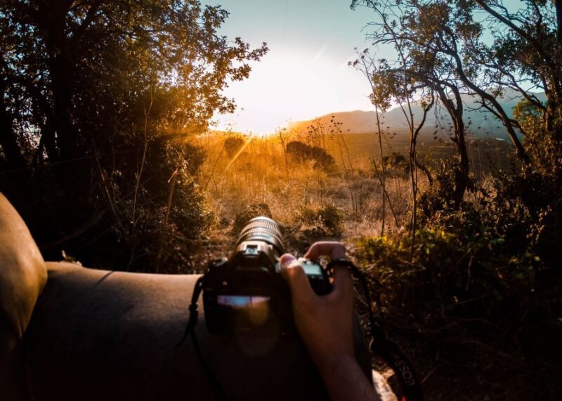 Rajasthan: Ranthambore National Park Private Jeep Safari - An In-Depth Look at Ranthambore Safari