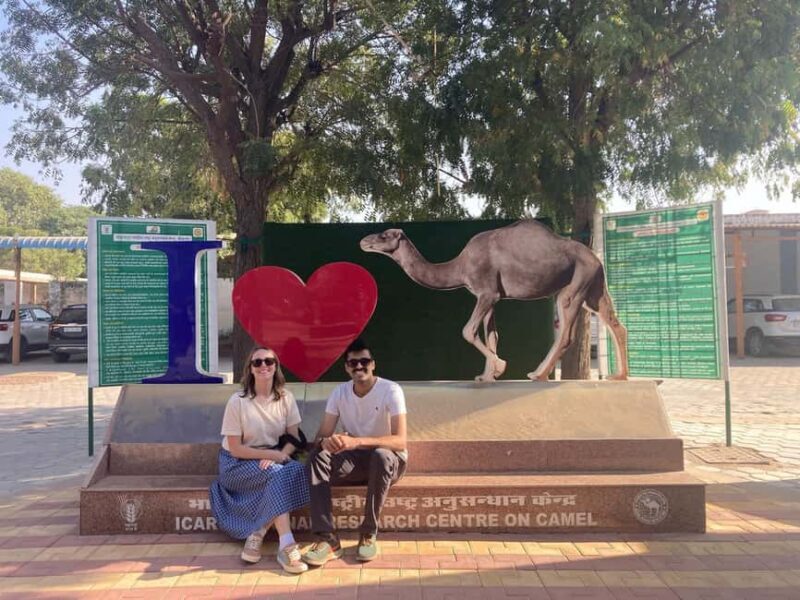 Rajasthan Tour 7 Nights 8 Days - Key Points