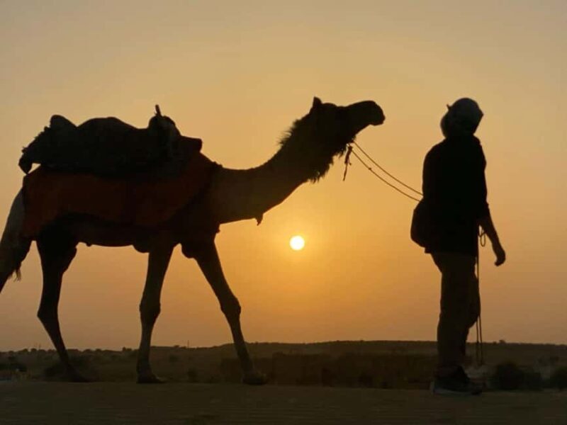 Rajasthan Tour 7 Nights 8 Days - Closing Words