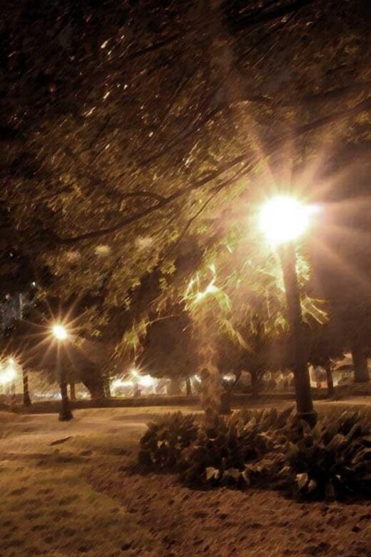 Raleigh: True Crime Tour - Why Youll Value This Tour