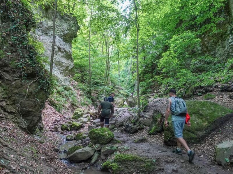 Ram Gorge Hiking Adventure - Key Points