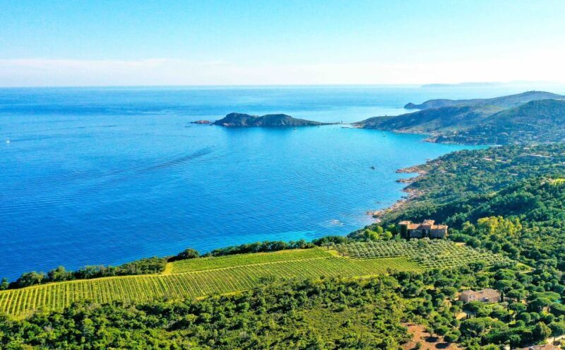 Ramatuelle: Tracks & Tasting Winery Tour by Mountain E-Bike - An Invitation to Ride and Taste in Provence