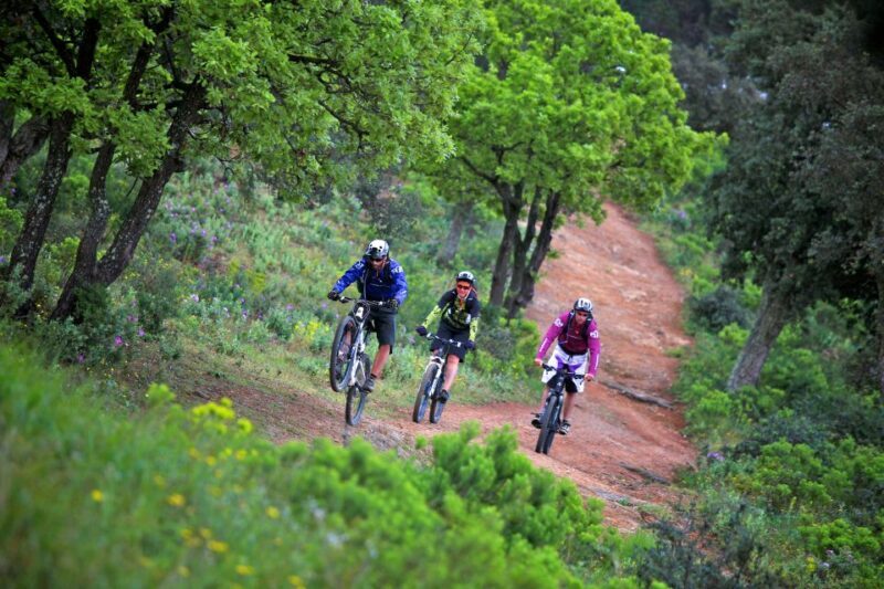 Ramatuelle: Tracks & Tasting Winery Tour by Mountain E-Bike - Real Experiences from Participants