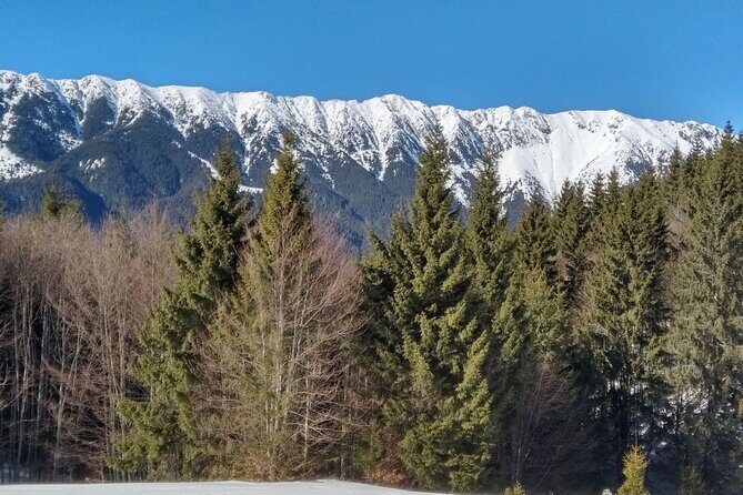 Rambling in Transylvania - The Sum Up