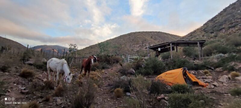 Rancho Gaucho Estate 3 Days in The Andes - Day 2: Higher Elevation Trek and Mountain Views