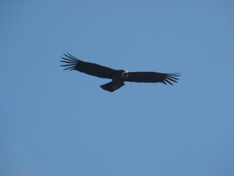 Rancho Gaucho Estate 3 Days in The Andes - Authenticity and Unique Aspects