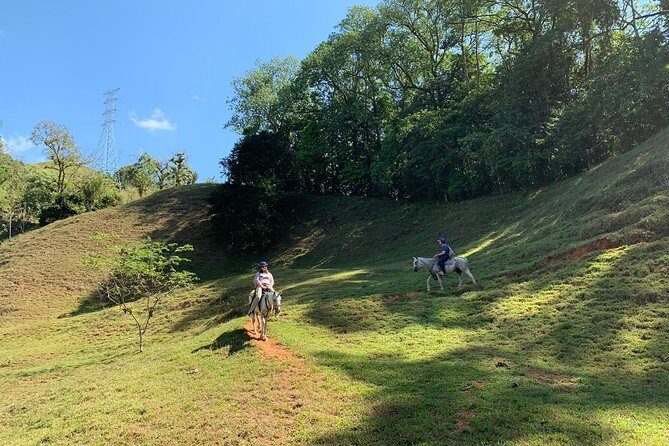 Rancho Típico Don Juan, Horseback Riding tour - Authenticity and Reviews: What Travelers Are Saying