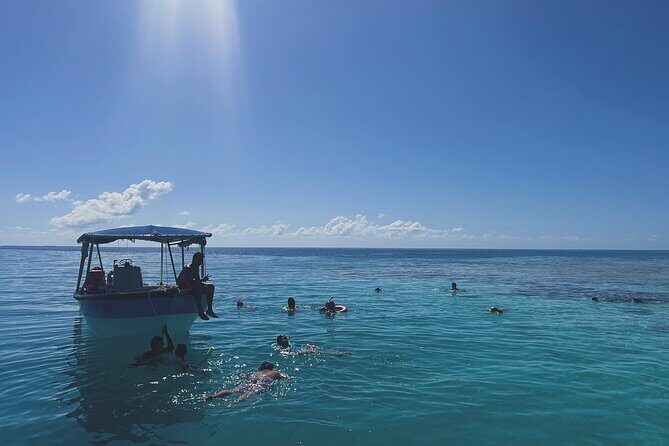 Rangiroa Snorkeling and Dolphin Cruise - FAQs