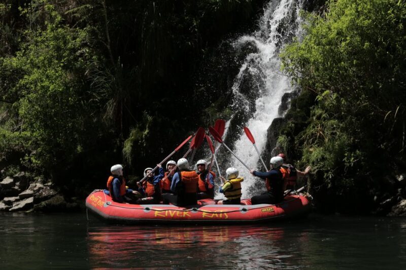 Rangitaiki Rafting Grade 2 - Who Would Love This Trip
