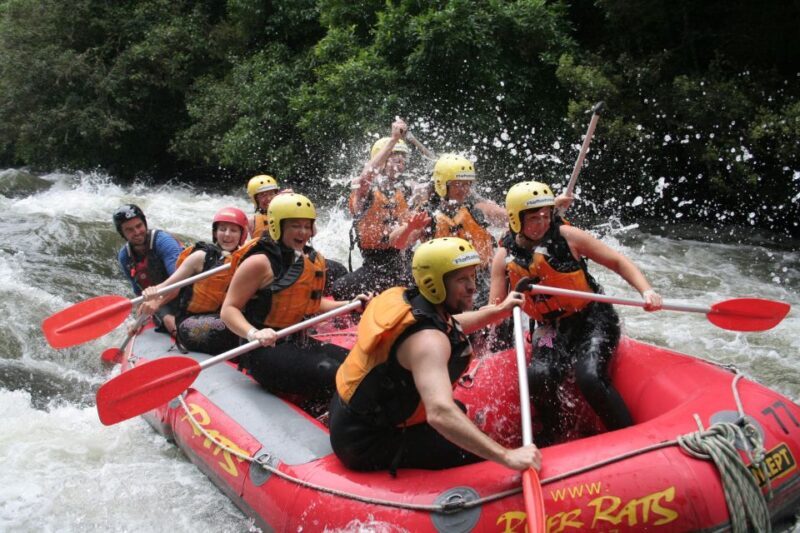 Rangitaiki Rafting Grade 3-4 - The Sum Up: Is Rangitaiki Rafting Right for You?