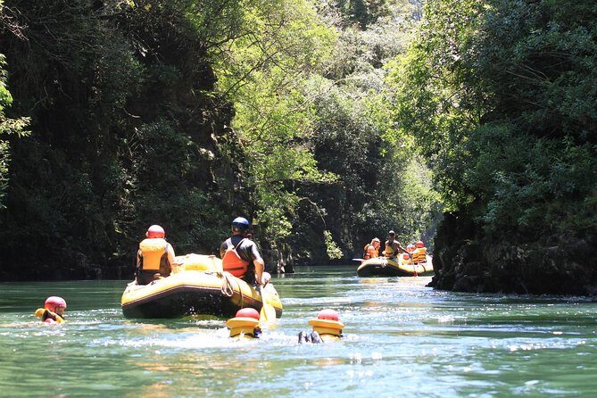 Rangitaiki River White Water Scenic Rafting from Rotorua - An In-Depth Look at the Rangitaiki River Scenic Rafting Experience