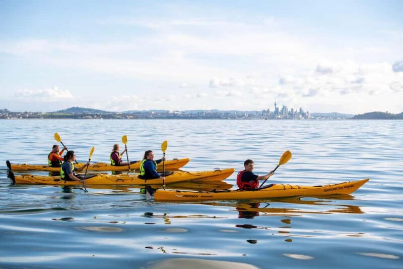 Rangitoto Island: Sea Kayak & Summit Hike Day Trip - Discover Rangitoto Island: Sea Kayak & Summit Hike Day Trip