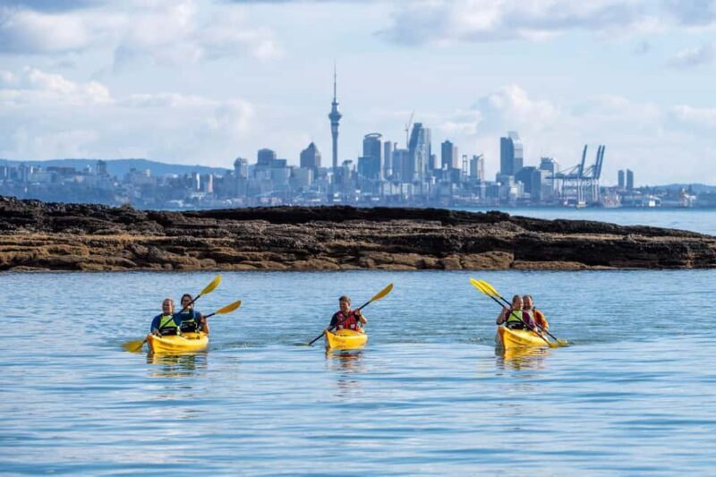 Rangitoto Island: Sea Kayak & Summit Hike Day Trip - What Makes This Tour Stand Out?