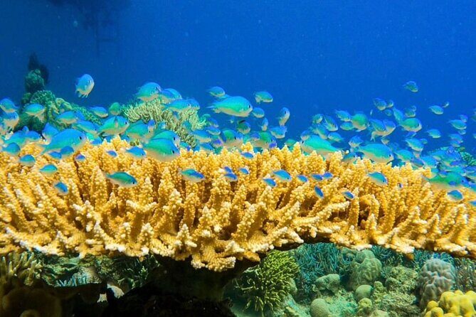 Rangko Cave & Beach Snorkeling Half Day Sharing Trip Labuan Bajo - Exploring Labuan Bajo’s Hidden Gems: A Detailed Look at the Rangko Cave & Beach Snorkeling Tour