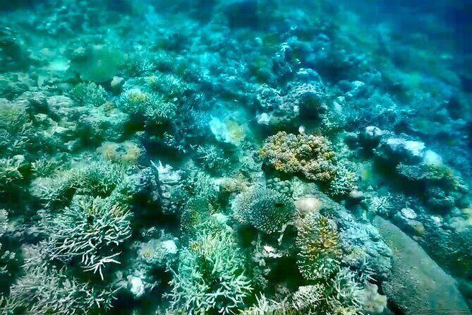 Rangko Cave & Beach Snorkeling Half Day Sharing Trip Labuan Bajo - Review Highlights: What Travelers Say