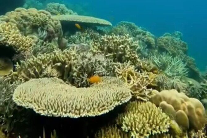 Rangko Cave & Beach Snorkeling Half Day Sharing Trip Labuan Bajo - Frequently Asked Questions