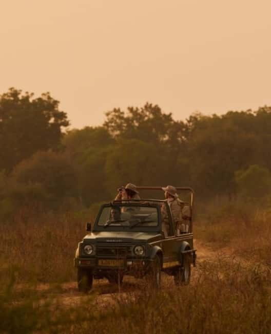 Ranthambhore: Ranthambhore Tiger Reserve Booking - Ranthambhore: Ranthambhore Tiger Reserve Booking