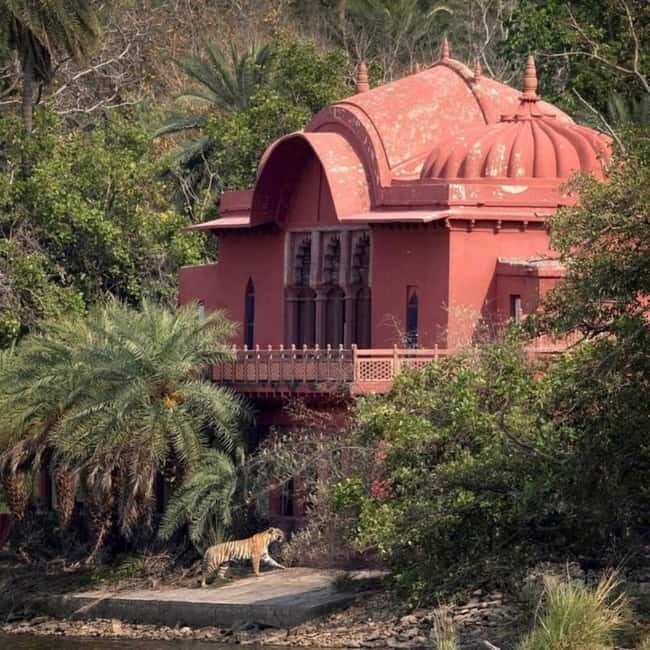 Ranthambhore: Ranthambhore Tiger Reserve Booking - Final Thoughts