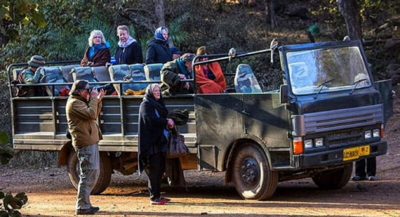 Ranthambore National Park: Jeep or Canter Safari - Exploring Ranthambore National Park: An Authentic Safari Experience