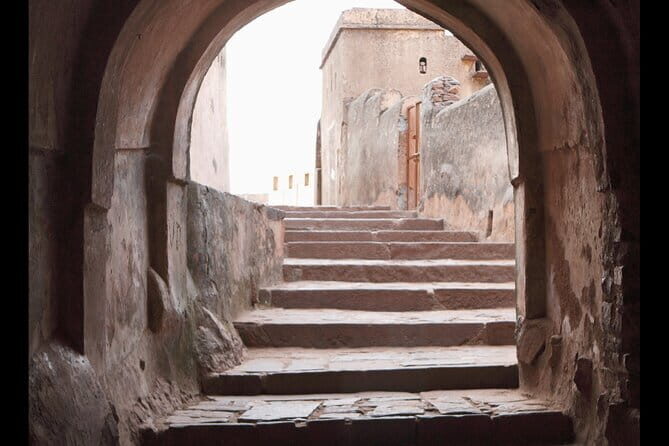 Ranthambore national park Safari Booking  Jeep & Canter Tours - A Closer Look at Ranthambore Safari Tours