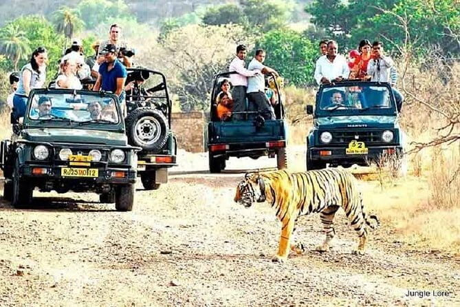 Ranthambore national park Safari Booking  Jeep & Canter Tours - The Sum Up