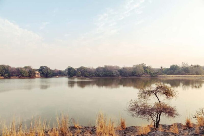 Ranthambore National Park: Safari Ticket with Pickup Option - FAQ