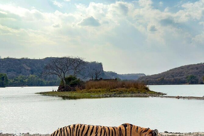 Ranthambore Private Jeep Safari Tour - Final Thoughts