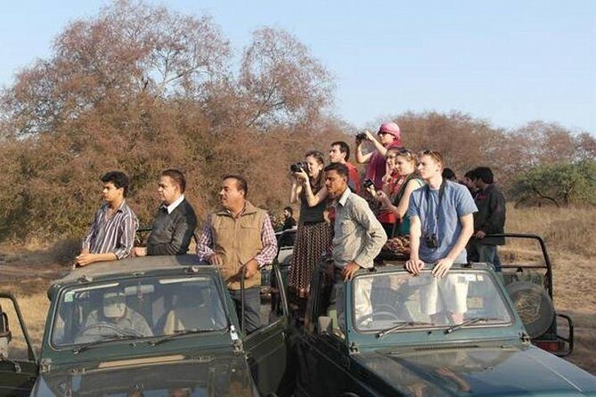 Ranthambore Safari | Bird Watching | Agra & Delhi from Jaipur - What Makes This Tour a Good Value