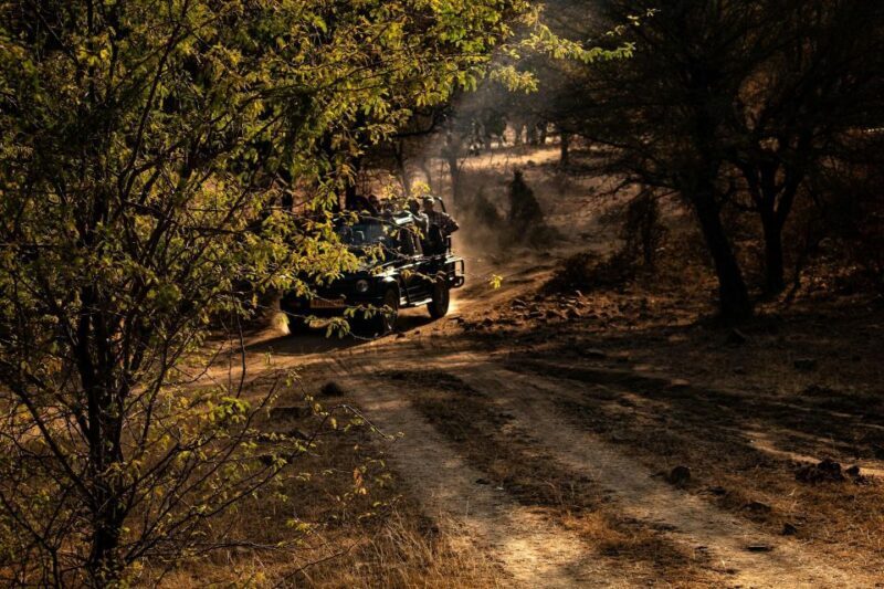 Ranthambore safari by Canter ( 20 seater bus) - Frequently Asked Questions