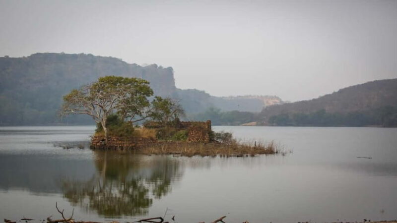 Ranthambore: Shared Tiger Safari in Canter or Gypsy - Key Points