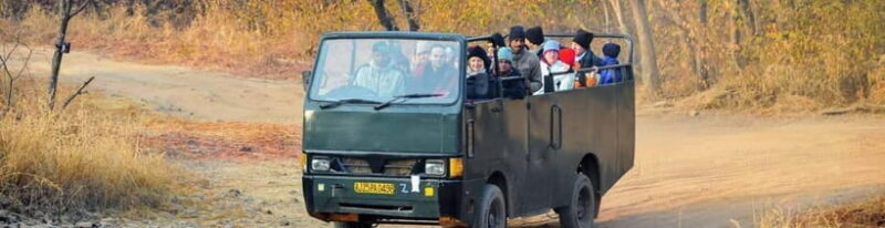 Ranthambore: Skip-the-Line Tiger Safari in Sharing Canter - The Sum Up